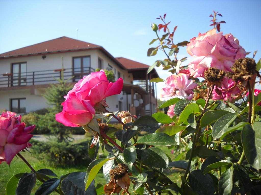 Horizont Panzio Odorheiu Secuiesc Exterior foto